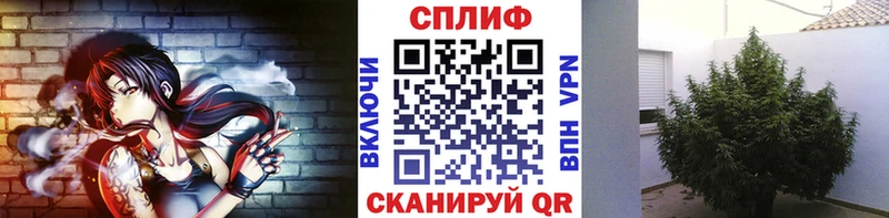 Где найти наркотики Кушва Кокаин Меф мяу мяу APVP МАРИХУАНА ГАШ