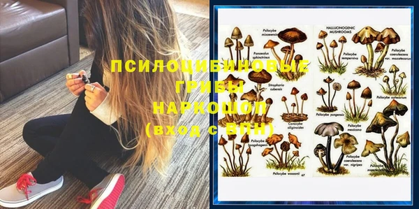 гидропоника Белокуриха