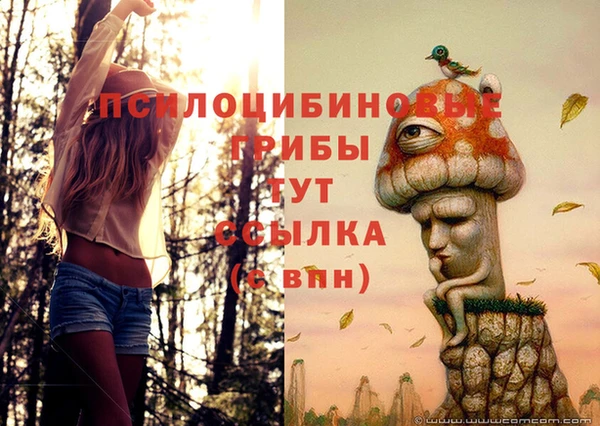 дмт Белоозёрский