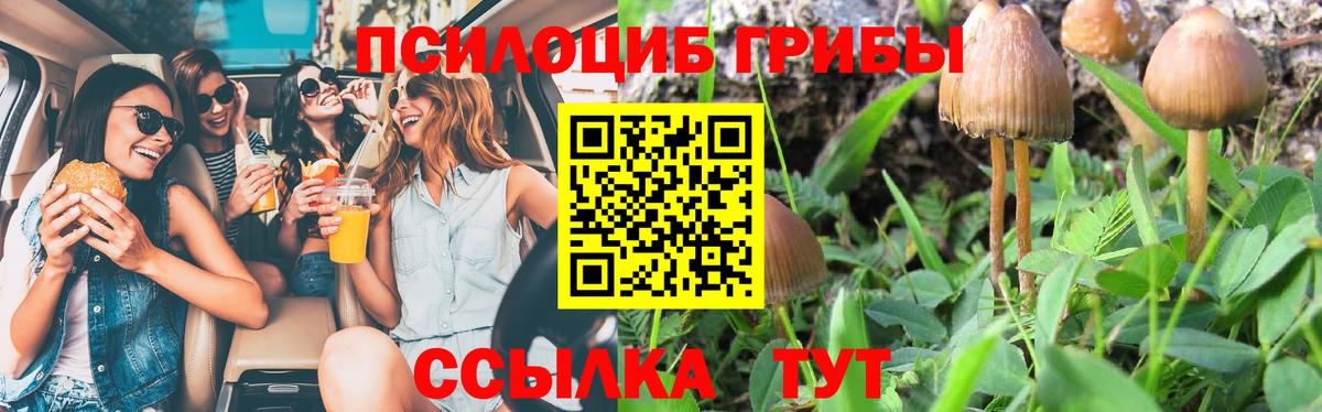 Галлюциногенные грибы Magic Shrooms  Вход с VPN  Галлюциногенные грибы Magic Shrooms  купить закладку  Кушва 