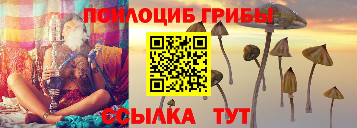 МЕФ   ГАШ  Кушва  КОКАИН  Марихуана  НБОМе  A-PVP СК кристаллы  Мефедрон  Гашиш  Вход с VPN 